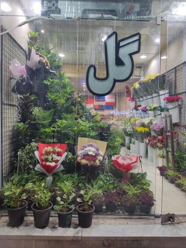 گل فروشی کنتیا