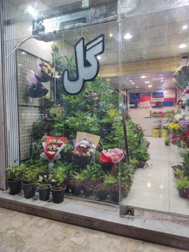 گل فروشی کنتیا