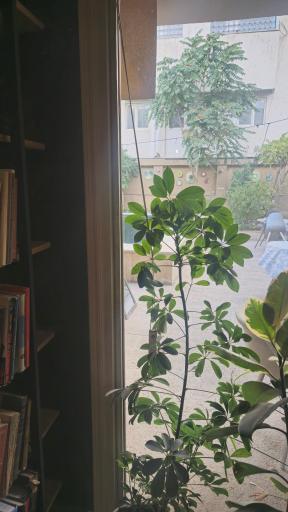 عکس کافه کتاب هزارتو 