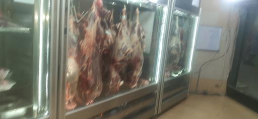 عکس پروتئین مرکزی