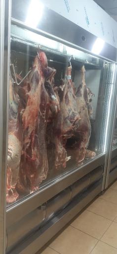 عکس پروتئین مرکزی