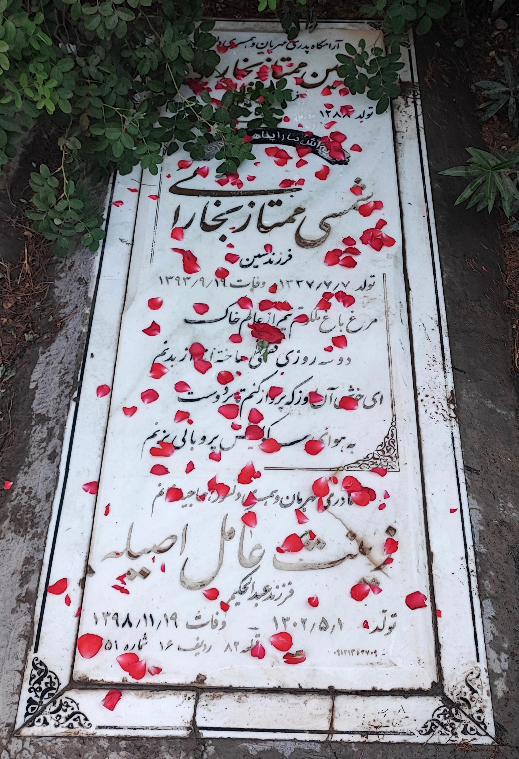 عکس مزار شمسی ممتاز بخارایی