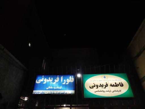 عکس دکتر فاطمه فریدونی