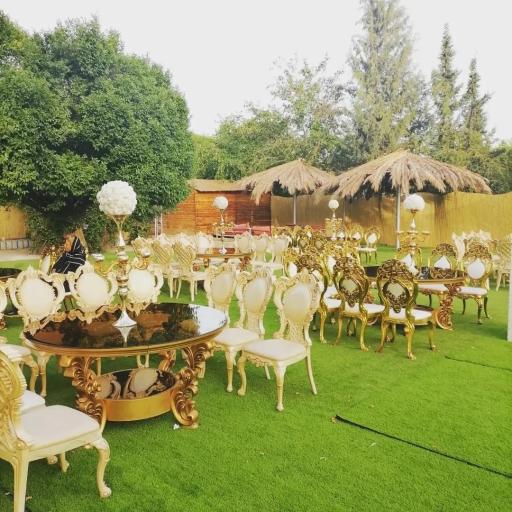 عکس تشریفات ونک