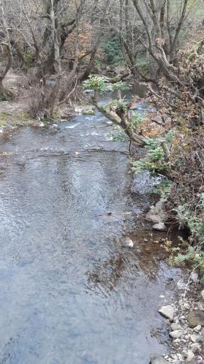 عکس شیرکوه