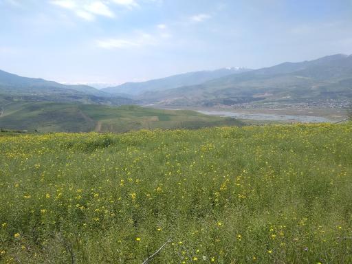 عکس شیرکوه