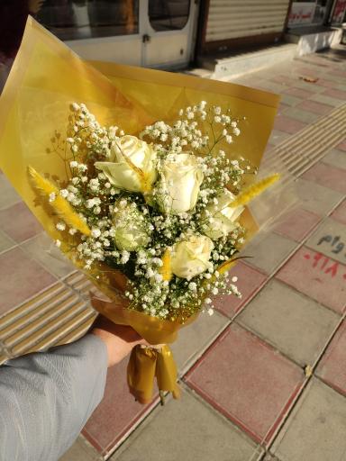 عکس گل سرای کسرا