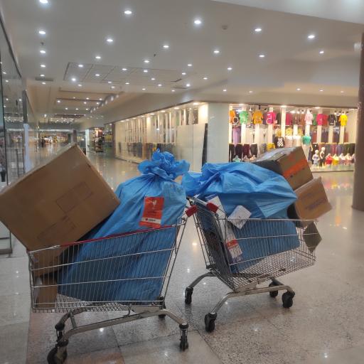 عکس چیتا پست شیراز شهر صدرا 