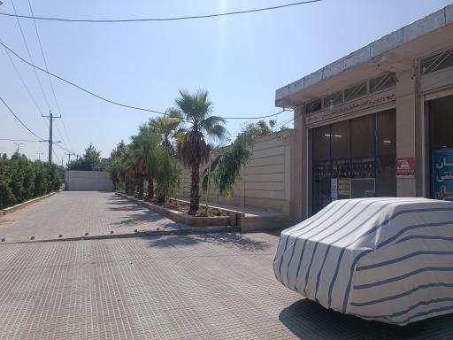 نان سنتی گل گندم