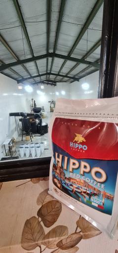 عکس قهوه هیپو