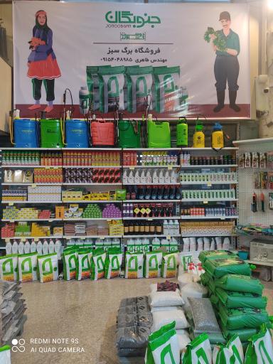 عکس خدمات کشاورزی برگ سبز