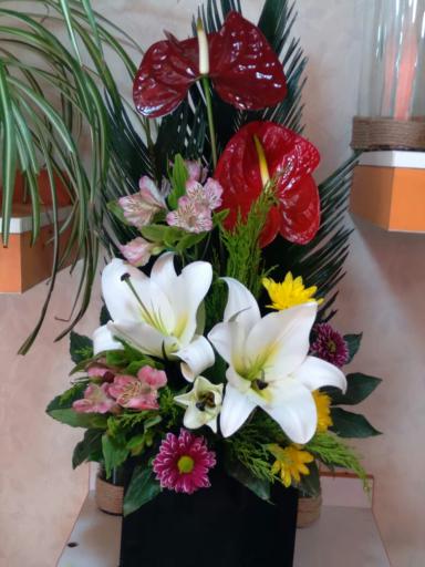 عکس گل برکه