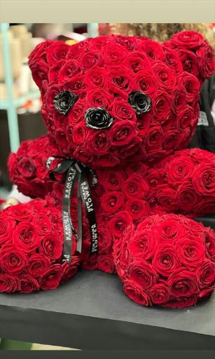 عکس گل برکه