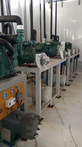 عکس دنیاسرویس