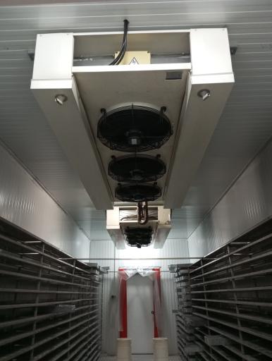 عکس دنیاسرویس