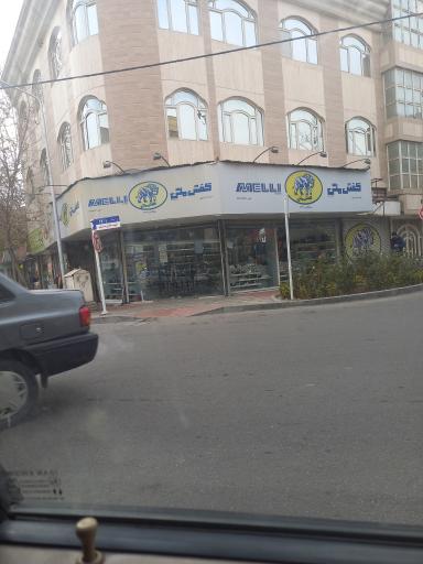 عکس کفش ملی ۱۹۱۹