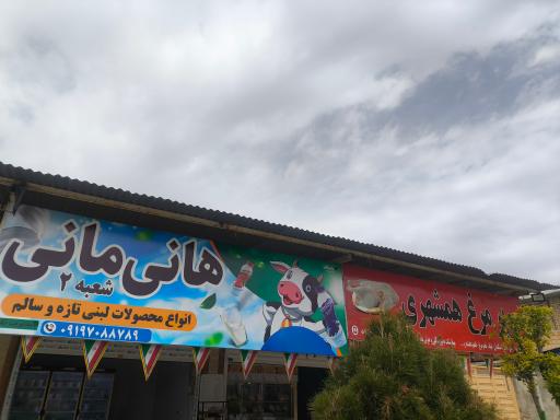 عکس لبنیات سنتی هانی مانی شعبه ۲