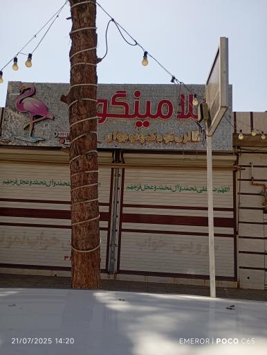 عکس گالری کودک فلامینگو