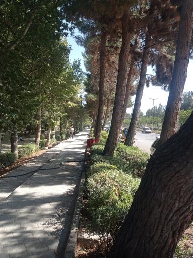 عکس بوستان دانشجو