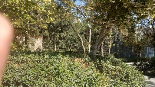 عکس بوستان دانشجو