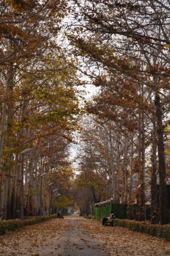 عکس بوستان دانشجو