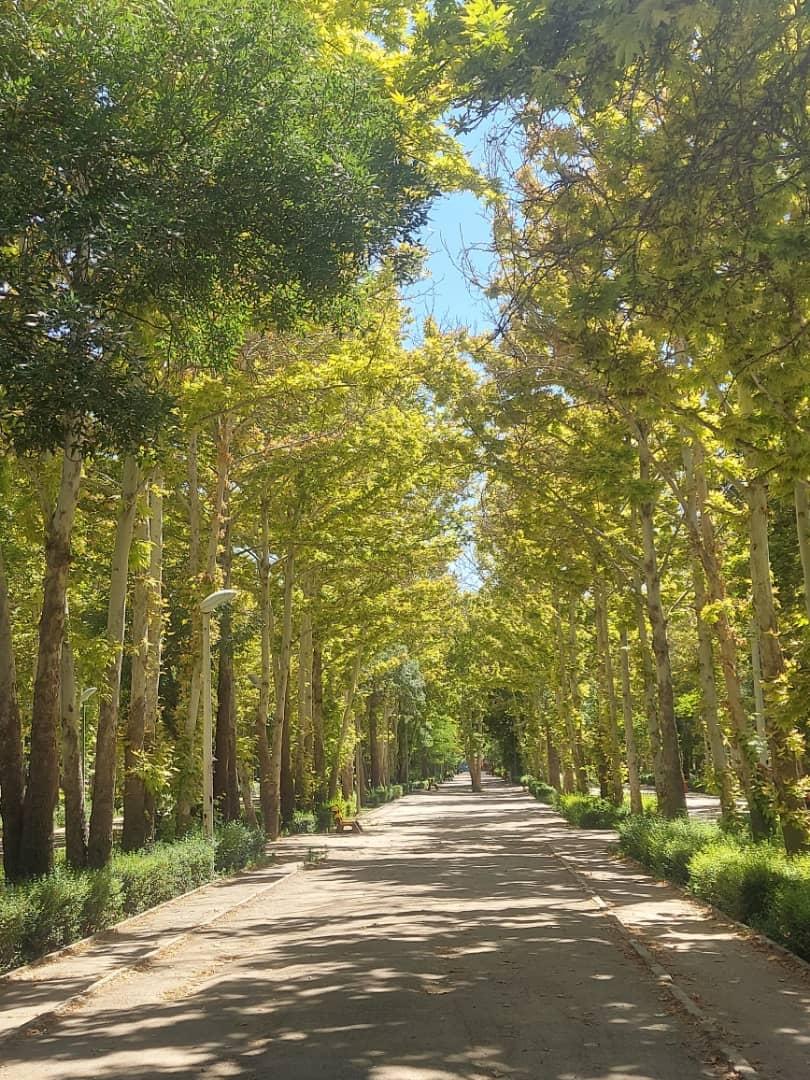 عکس بوستان دانشجو