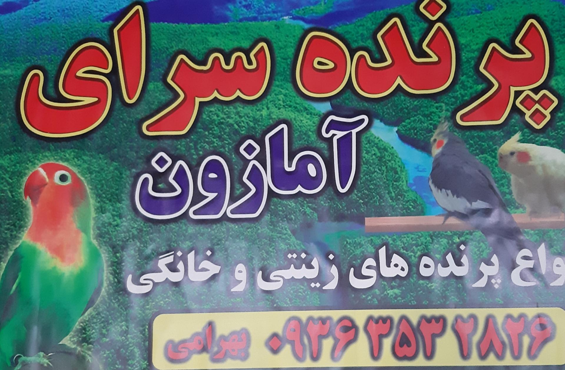 عکس پرنده سرای امازون