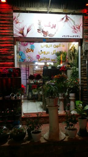 عکس گل برکه