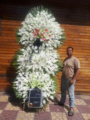 عکس گل برکه