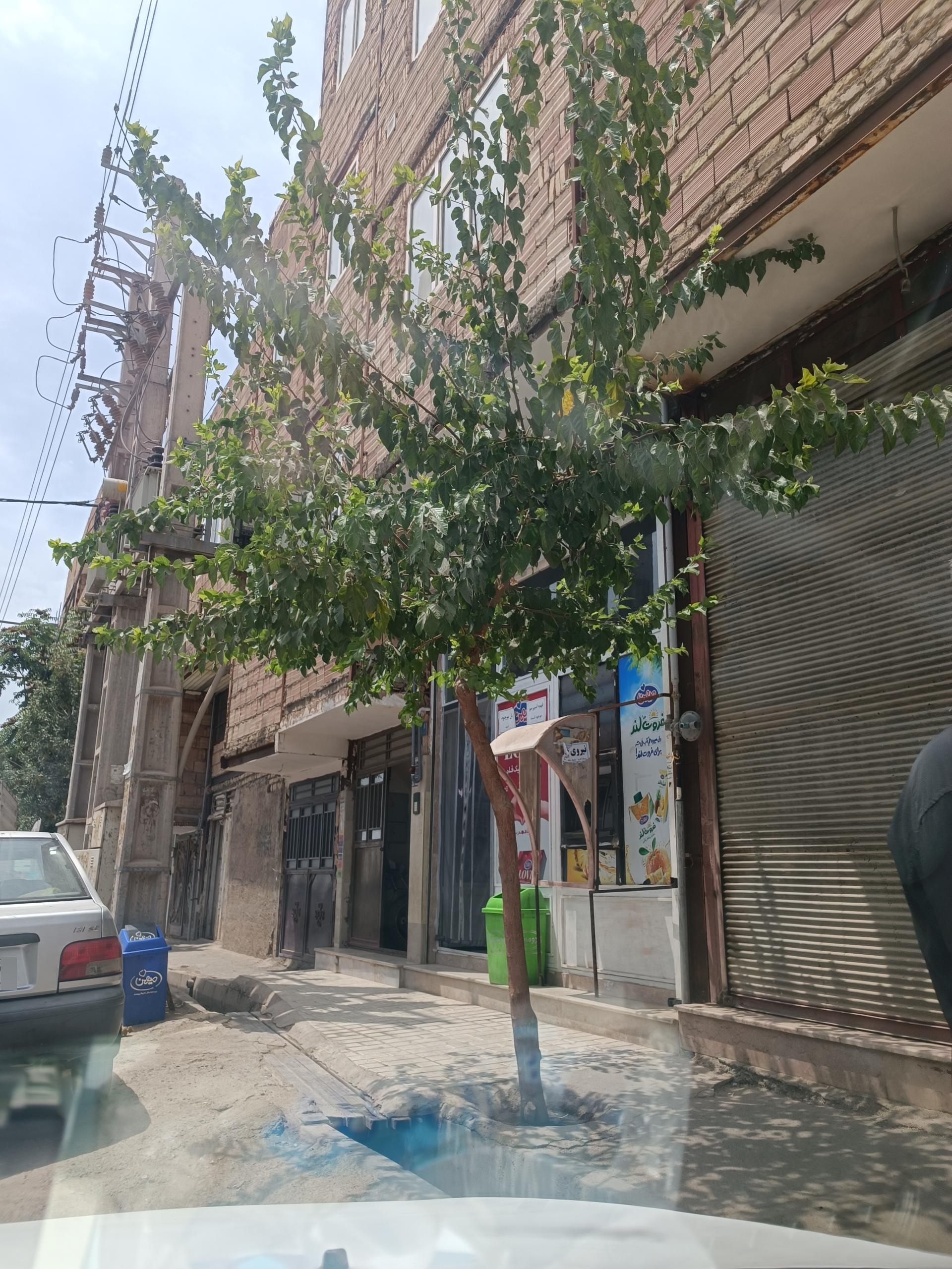 عکس سوپر مارکت 