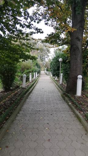 عکس موسسه آموزش عالی غیر انتفاعی آمل