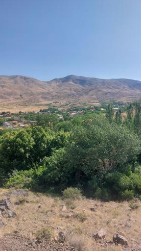 عکس صمغ آباد