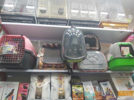 شهر پرندگان و حیوانات خانگی