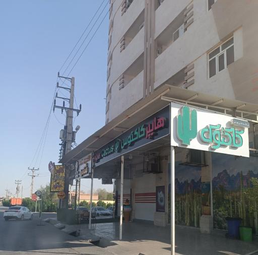 عکس هایپر مارکت کاکتوس