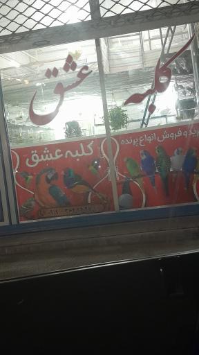 پرنده فروشی کلبه عشق