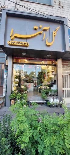 گل فروشی آنترا