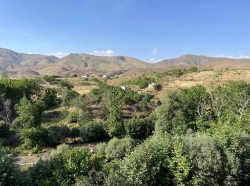 عکس صمغ آباد