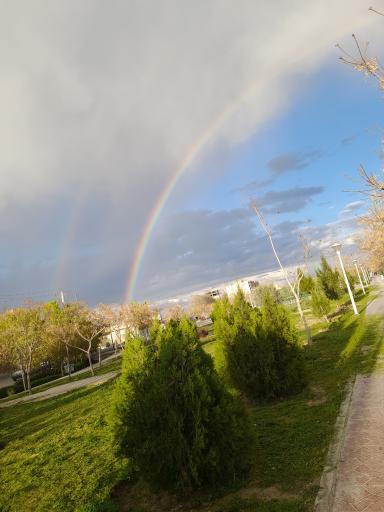 عکس بوستان شهدای مدافع حرم