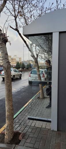 عکس  میدان لادن