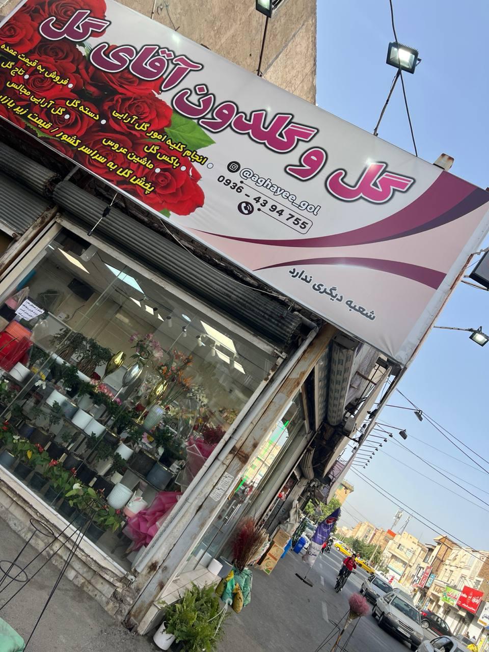 عکس آقای گل 