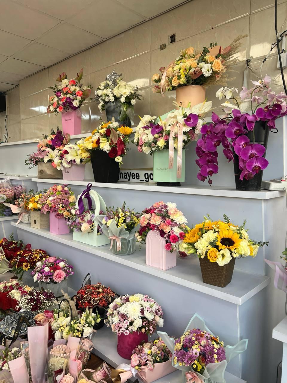 عکس آقای گل 