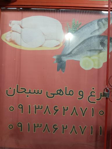 مرغ ماهی سبحان