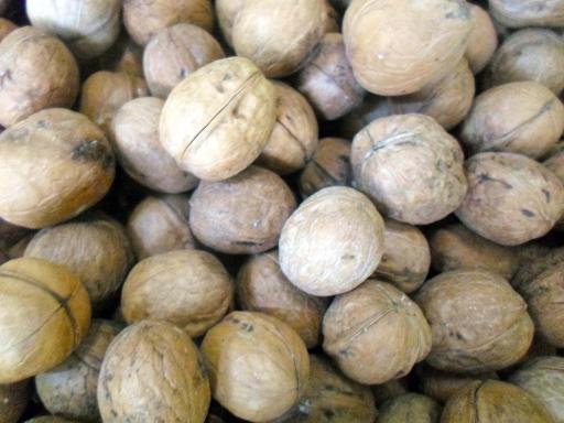 عکس فروشگاه آجیل و خشکبار تک