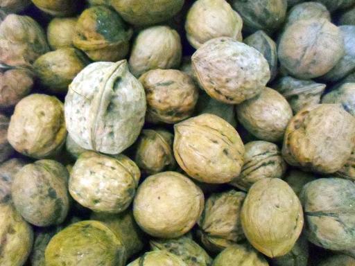 عکس فروشگاه آجیل و خشکبار تک