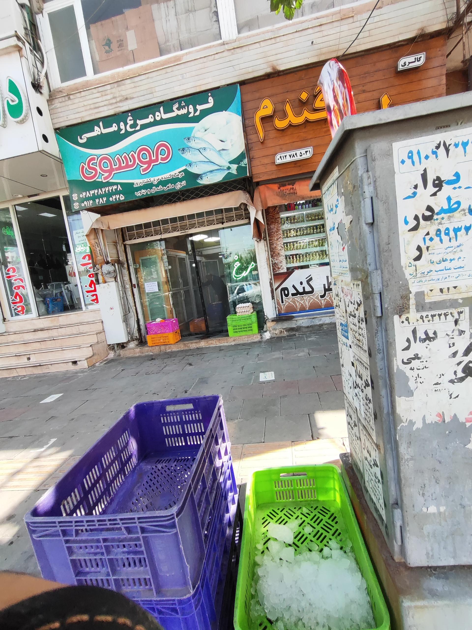 عکس فروشگاه مرغ و ماهی موسوی