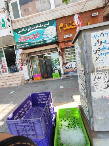عکس فروشگاه مرغ و ماهی موسوی