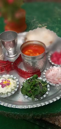 عکس باغ رستوران خاتون