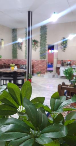 عکس باغ رستوران خاتون