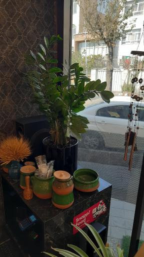 عکس رستوران سنتی بولونی