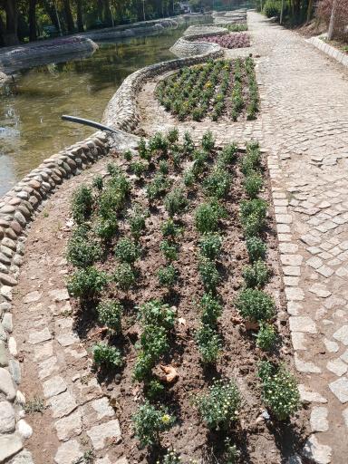 عکس بوستان صدف